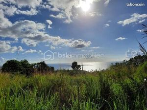 Terrain 5 020 m² Vieux Habitants