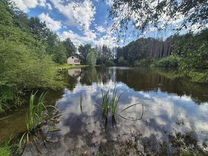 Etang de pêche sur un terrain de 1 5 hectares