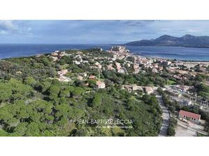 Vente appartement 8 pièces 91 m² Calvi (20260)