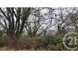 Terrain à vendre - 2618 m2 - Sardan - 30 - LANGUEDOC-ROUSSILLON