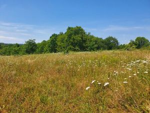 Vente terrain 320 m² Abzac (33230)