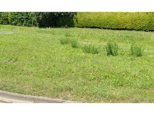 Vente terrain 500 m² Blaye (33390)