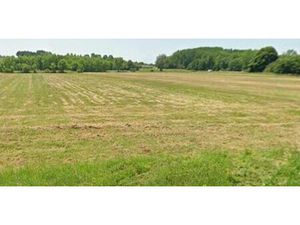 Vente terrain 1000 m² Berson (33390)