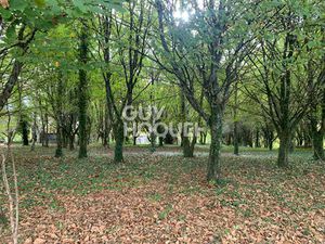 Terrain Castillon (canton D Arthez De Bearn) 2350 m2