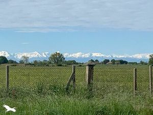 Vente maison 5 pièces 134 m² Fontenilles (31470)