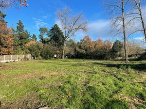 Achat Terrain 481m²