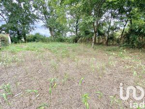 Vente Terrain à Linxe (40260) : à vendre / 1201m² Linxe