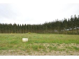 Vente terrain 1133 m² Castelnau-Tursan (40320)