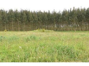 Vente terrain 1150 m² Castelnau-Tursan (40320)