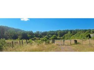 Vente local industriel 12818 m² Creutzwald (57150)