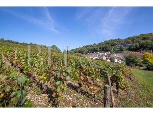 Belle propriété avec gîte  environnement remarquable