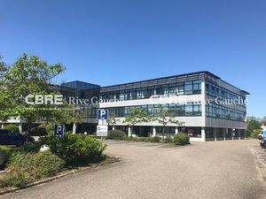 Location Local Professionnel 477m² ENTZHEIM 67960