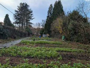 Terrain en zone à bâtir – Beersel/Linkebeek – 16 ares