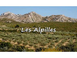 Vente appartement 3 pièces 68.73 m² à Saint-Rémy-de-Provence (13210)  360 000 €