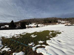 Vente terrain 3678 m² Habère-Poche (74420)