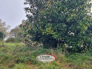 Terrain campagne de PONTCHATEAU