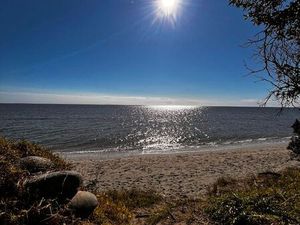 Terrain 5000 m² POGGIO MEZZANA