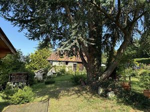 Campagne Pont l'Evêque  maison de campagne 4 chambres avec dépendances. Terrain de 2000m2.