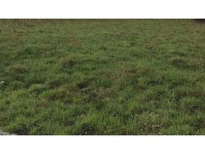 Vente terrain 800 m² à La Sauvagère (61600)  15 500 €