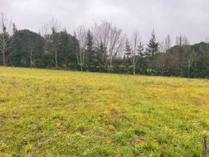 Vente terrain 900 m² à Mensignac (24350)  20 000 €