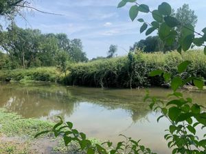 Vente terrain 114 m² à Noizay (37210)  14 000 €