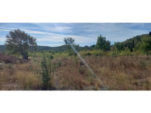 Vente terrain 842 m² à Azille (11700)  67 000 €