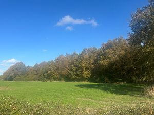 Vente terrain  29040.00m²  Treffieux