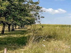 Terrain 2 011 m² Gemozac