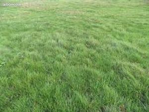 Terrain 466 m² Mormant