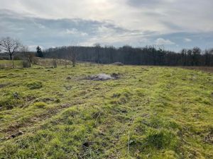 Vente terrain 3250 m² à Reugny (37380)  117 000 €