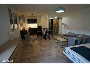 Studio Meublé Tassin La Demi Lune - 40m2 - lumineux sans vis à vis