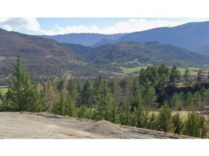 Vente terrain 1500 m² à Bevons (04200)  105 000 €