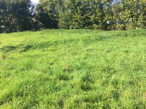 Vente terrain 1150 m² à Ceyzériat (01250)  142 000 €