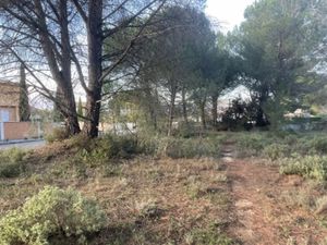 Vente terrain 901 m² à Alleins (13980)  270 000 €