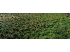 Vente Terrain à Guipavas (29490) : à vendre / Guipavas