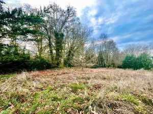 A vendre Terrain constructible de 2100 m2 à Clerey