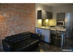 T2 meublé bcp de charme à 2 mn métro St Cyprien