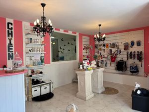 Location locaux professionnels à Castres (81100)  350 €