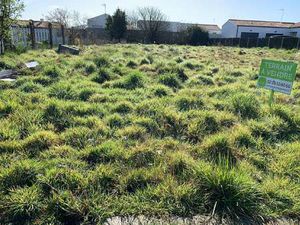 Vente Terrain au Fenouiller (85800) : à vendre / Le Fenouiller