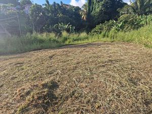 Terrain-Schoelcher-Terreville