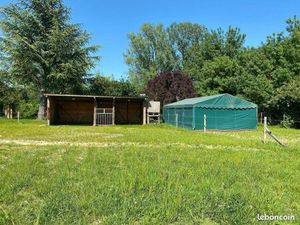 Prairie pour chevaux