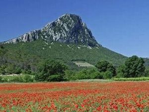 Cherche location autour du pic saint Loup 34