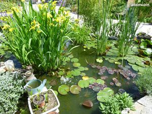 Belle villa en L avec 1100 m2 de terrain