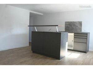 Appartement charmant d’une chambre de 38m2 refait totalement à neuf