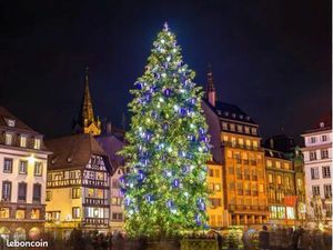 Location appartement f2