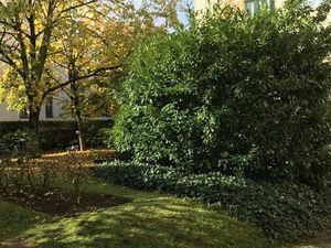 STUDIO À LOUER ENGHIEN les Bains