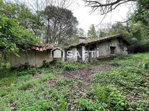 Le Fau - Ferme à rénover sur un hectare de bois