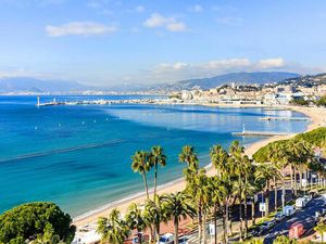 Vente commerce Cannes (06400)