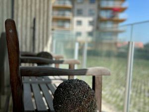 Gelijkvloers appartement met drie slaapkamers