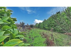 Achat Maison 5 pièces 91m²